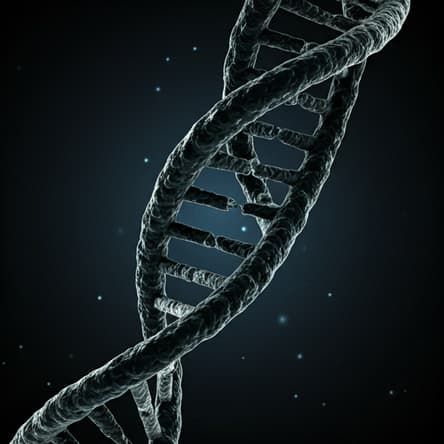 The future of personalized medicine