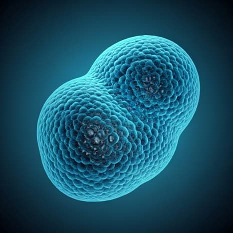 Personalized cancer vaccines: what the latest trials show